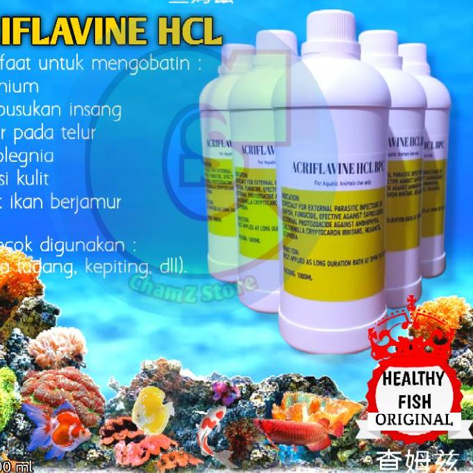 Terbaik Original Healty Fish Acriflavine hcl 1 liter / acriflavine hcl 1 liter / acriflavine hcl 1lt