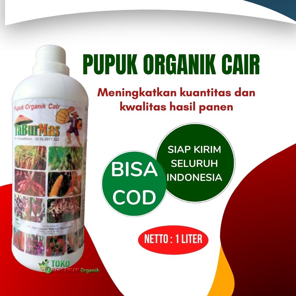 POC untuk padi, TABUR MAS Pupuk cair Organik tanaman Cerme