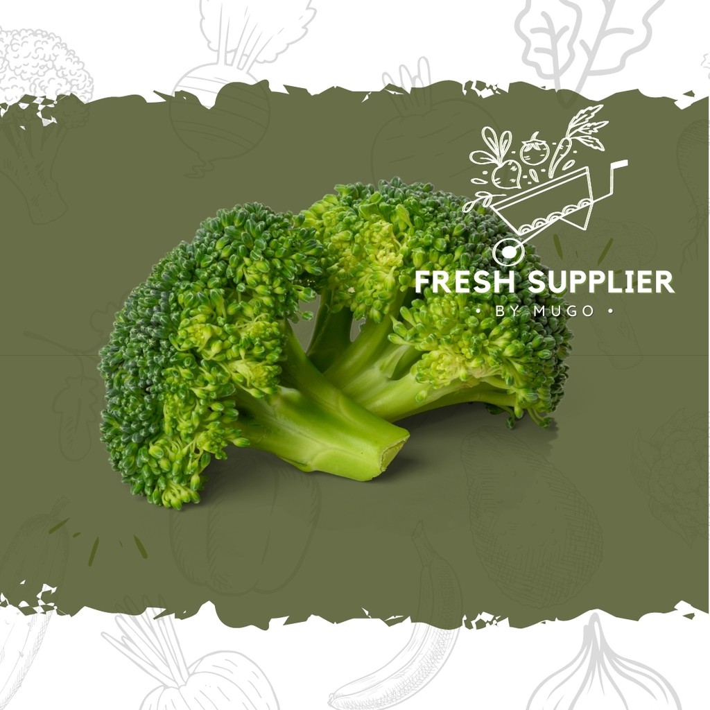 

Brokoli 500g Fresh Supplier