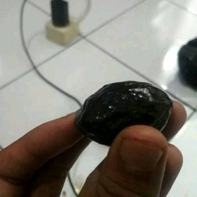 Muncang adu jenis 4G ori