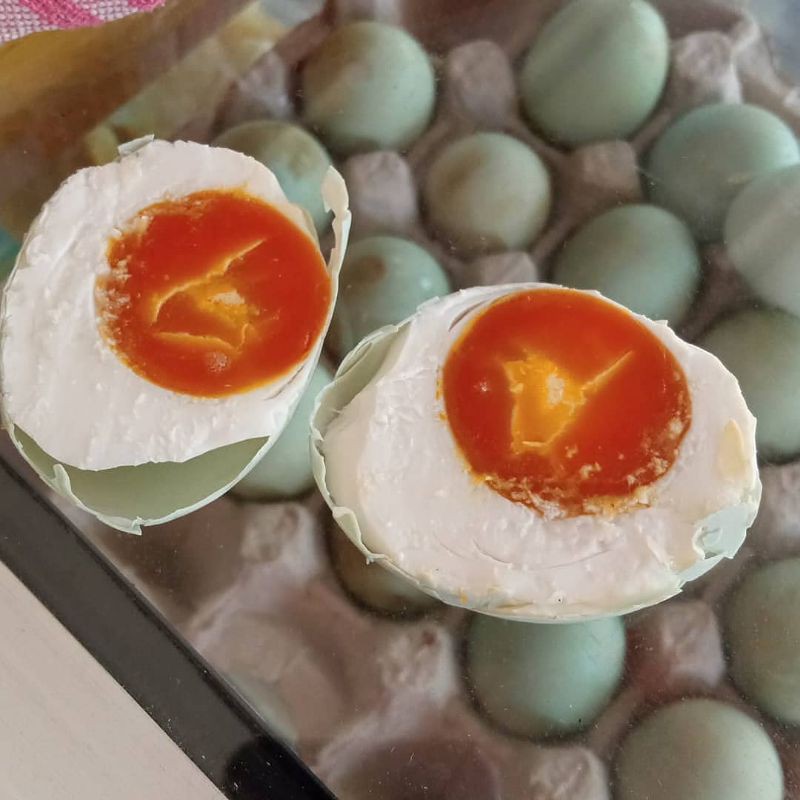 

telorasin Masir dan berminyak