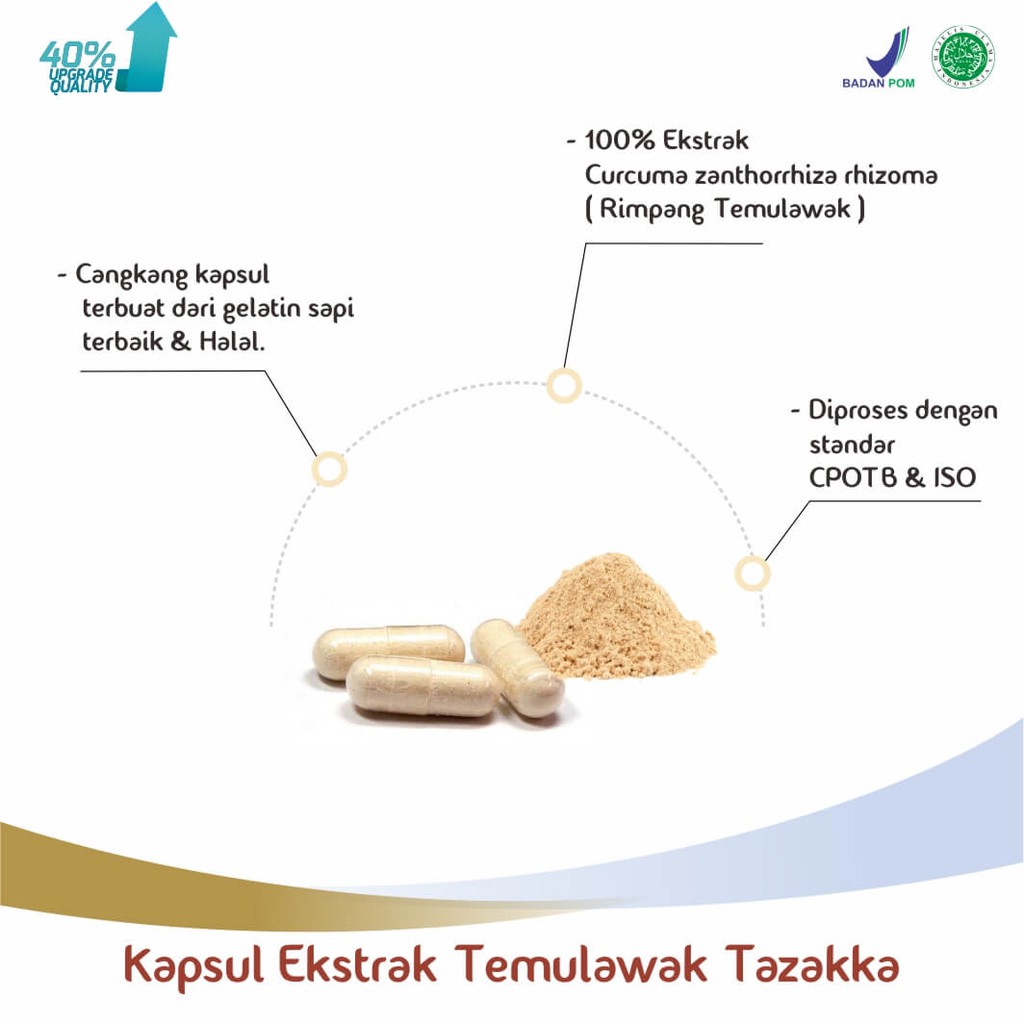 ORIGINAL - 𝐄𝐊𝐒𝐓𝐑𝐀𝐊 𝐓𝐄𝐌𝐔𝐋𝐀𝐖𝐀𝐊 Kapsul - Curcuma xanthorrhiza  Atasi Masalah Pencernaan Obat Antiradang