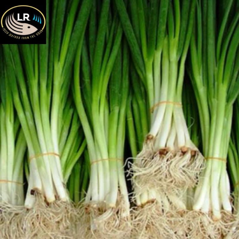 

daun bawang