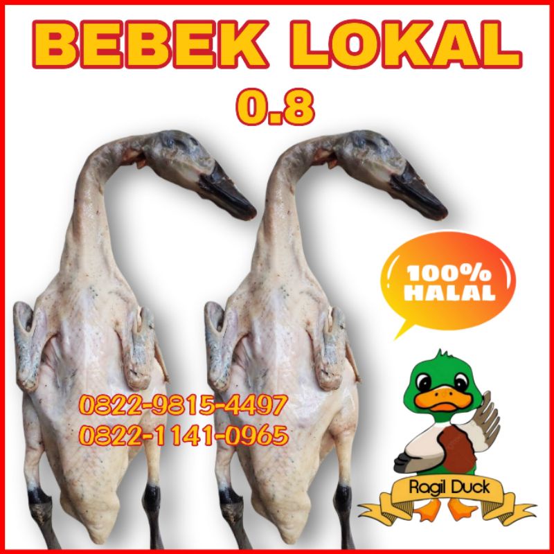 

BEBEK LOKAL 0.8KG