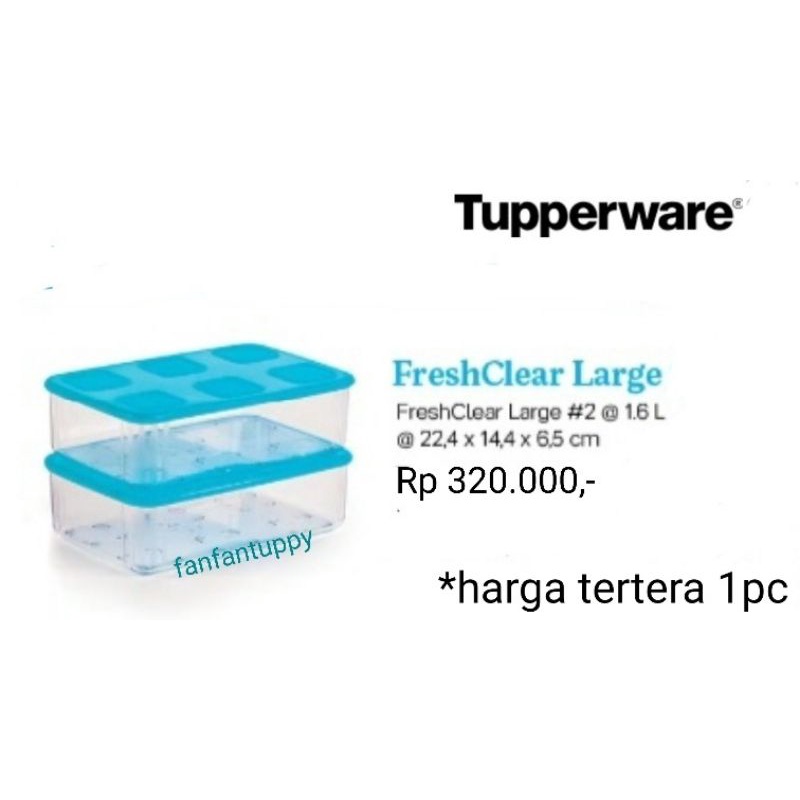 Fresh Clear Large Tupperware