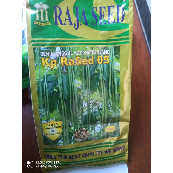BENIH KACANG PANJANG TAHAN VIRUS KP RASED 05 KEMASAN 500GR RAJA SEED