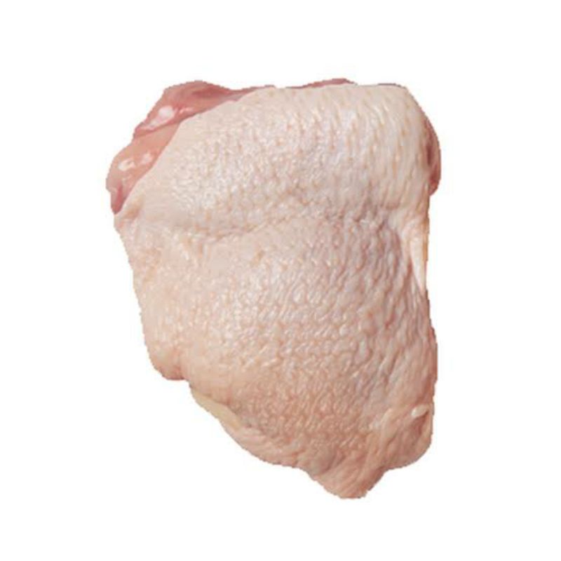 

Paha atas ayam