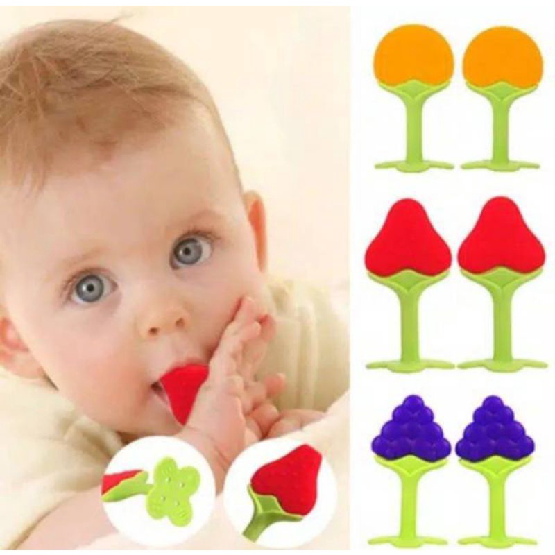 FRUIT TEETHER BABY NO BOX (BRAC427)