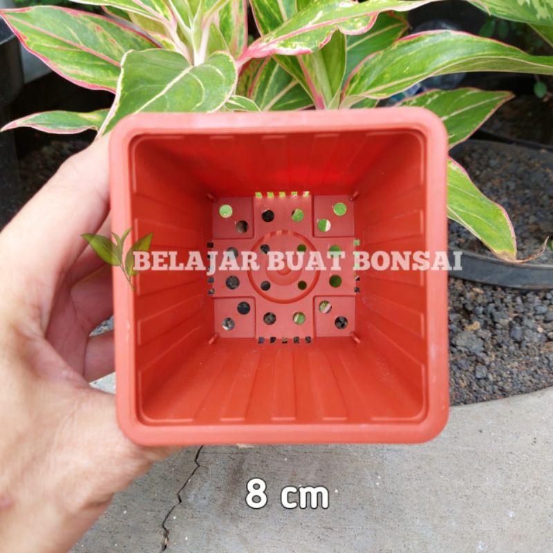 Pot Kotak YPK 8 Cm Pot Tanaman