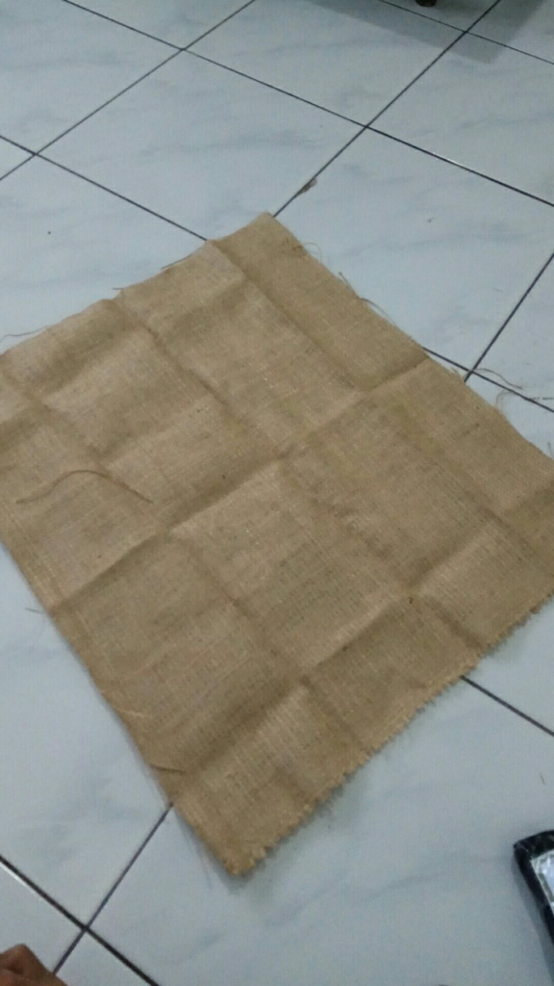 [ready Jateng] Pencabut / Penjepit Mata Nanas