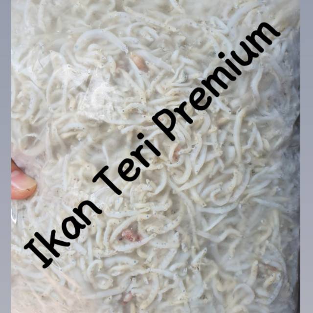 Ikan Teri Medan Asli