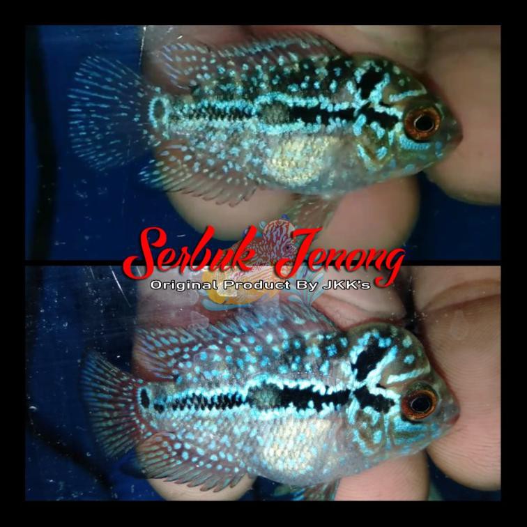 

Sale Beras Basmati Shan +1Paket Bumbu Shan Beryani