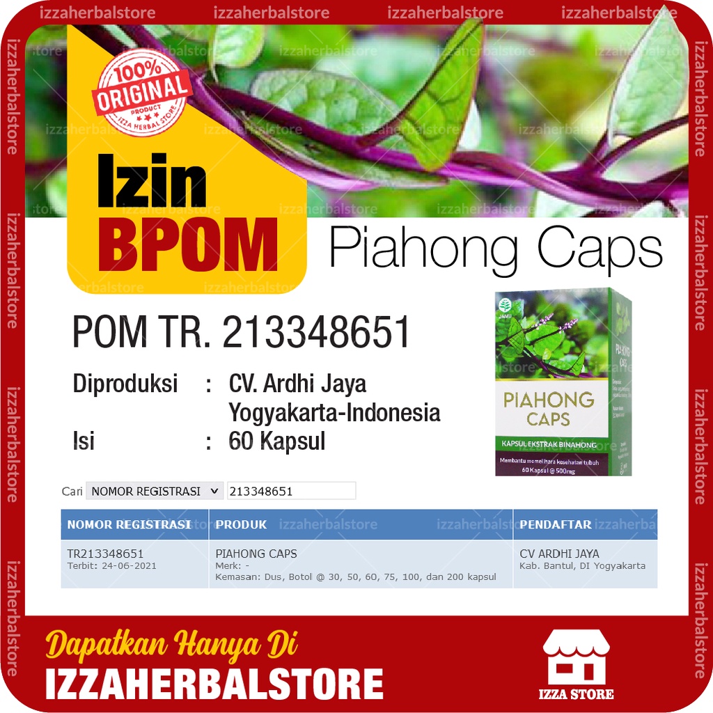 VITAMIN DAYA TAHAN TUBUH Piahong Caps Kapsul Ekstrak Binahong Meningkatkan Daya Tahan Tubuh Dewasa