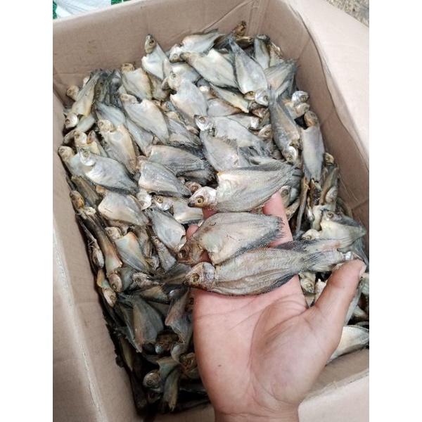 

Sepat kecil/ Sepat bakrik/ sepat rawa kering; 500 gram