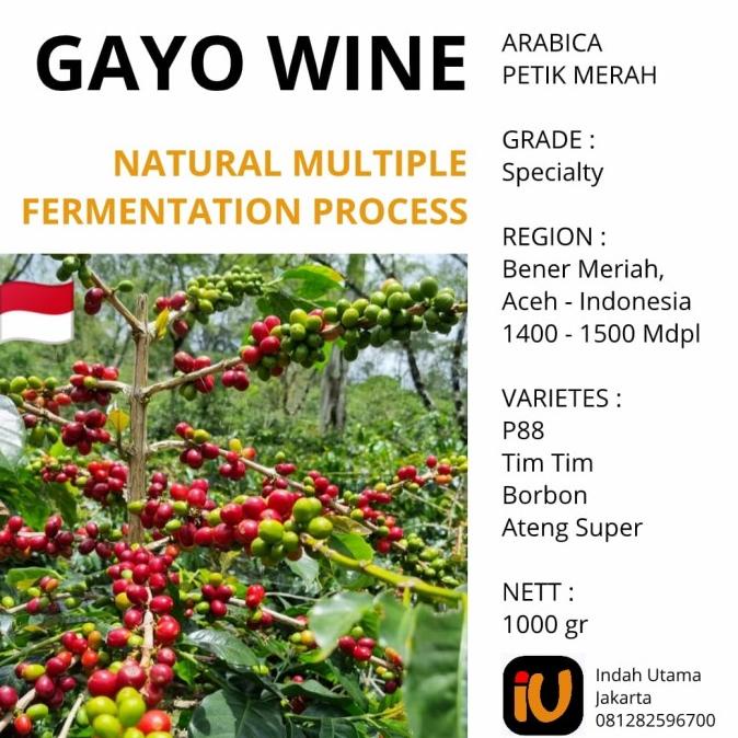 

Biji Kopi Mentah Arabika Gayo Wine 1000 Gram -Diskon Besar