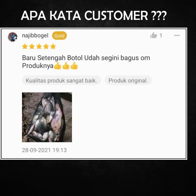 Menarik.. ESSEN IKAN MAS PATIN ESSEN IKAN MAS PALING BAGUS ESSEN IKAN IMPORT ESEN IKAN MAS LELE MEDI