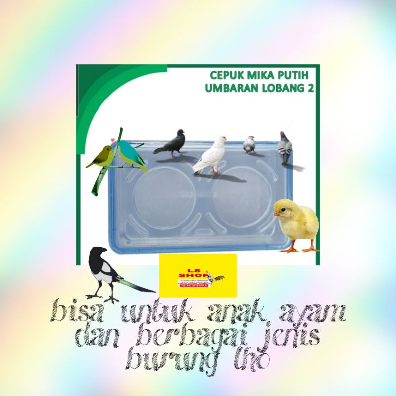 cepuk umbaran tempat makan ternak burung lovebird murai kenari perkutut semua burung jg anak ayam anti berantakan elit asli ori