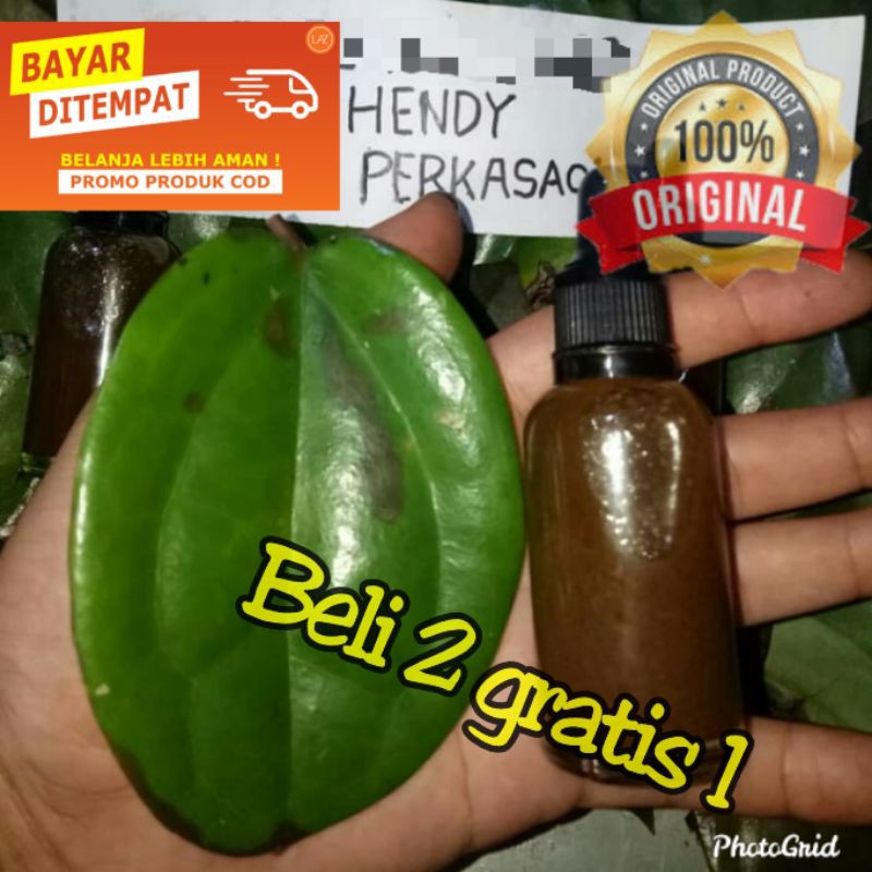 minyak daun bungkus beli 2 gratis 1 daun 3 jari asli biak papua oil daun bungkus super