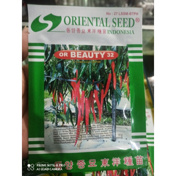 Benih Cabe Merah Besar OR BEAUTY 32 10gr