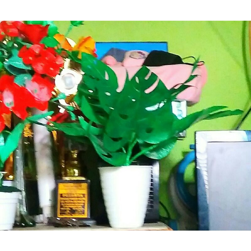 hiasan meja murah-bunga janda bolong plastik kresek