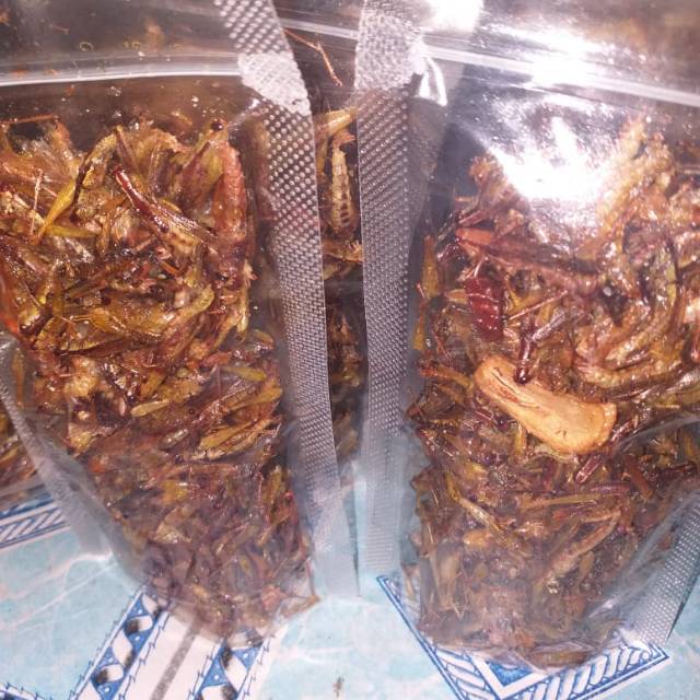 

Belalang goreng kriuk