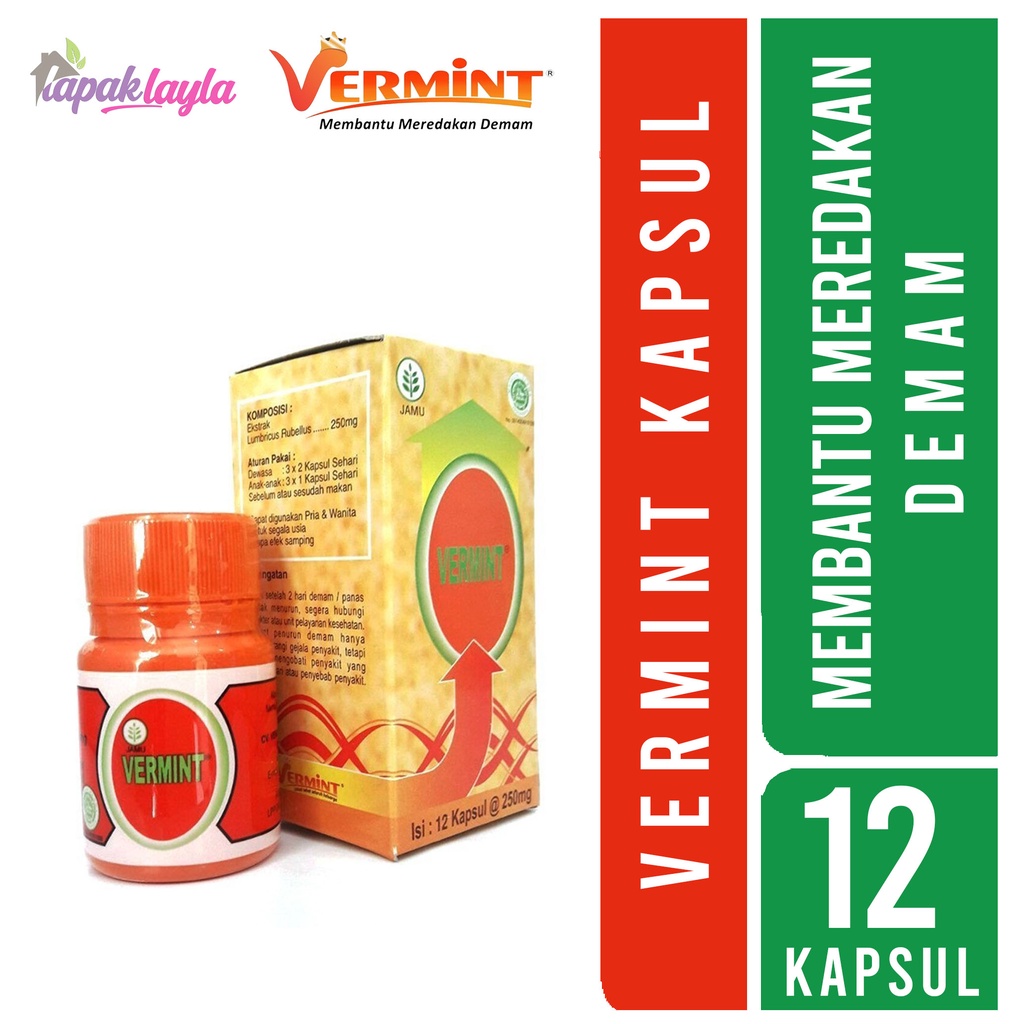 VERMINT KAPSUL ISI 12 KAPSUL extrack cacing obat tifus