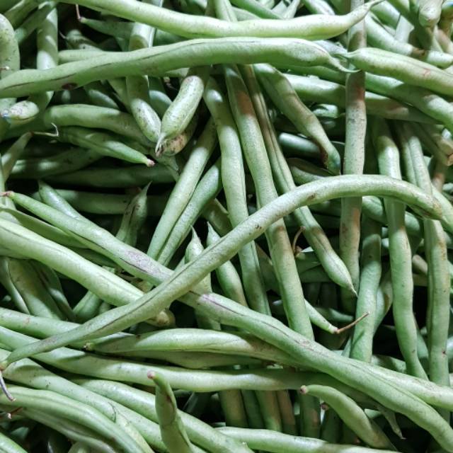 

Kacang Buncis 500gr