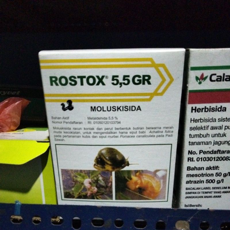 ROSTOX 5.5 GR OBAT PEMBASMI KEONG SIPUT SAWAH