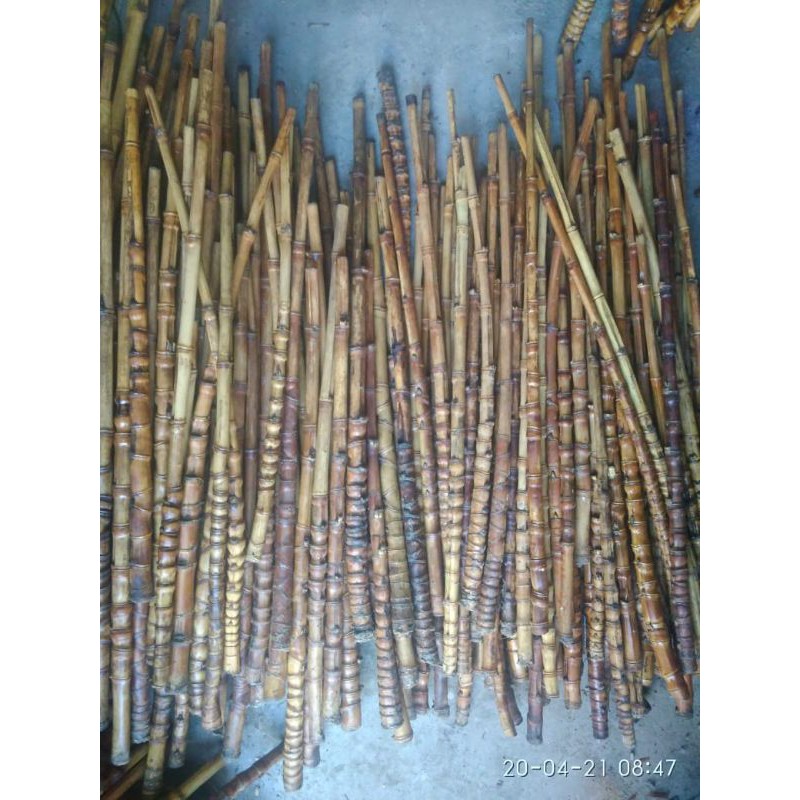 gagang joran unik bambu cendani