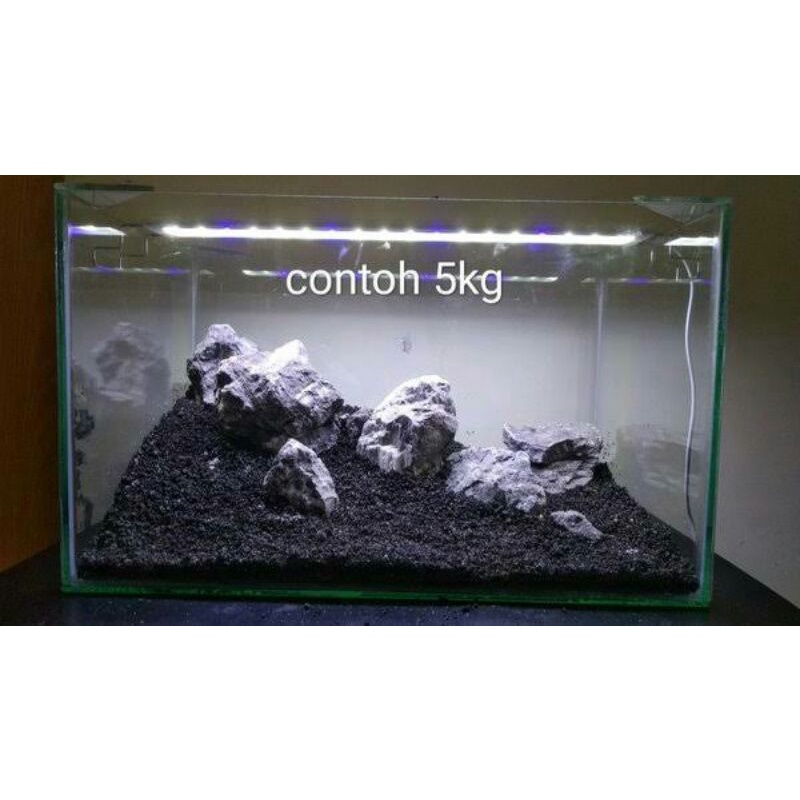 8100 Contoh Hardscape Aquarium HD Terbaik