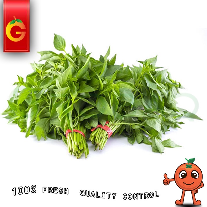 

SAYUR DAUN KEMANGI / IKAT