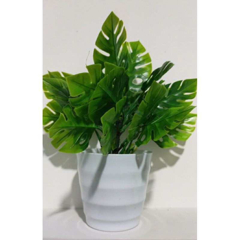 Bunga Monstera Plastik