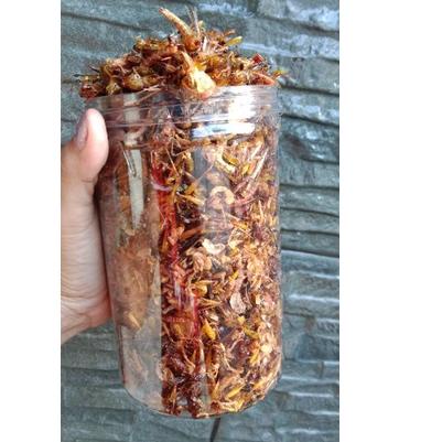 

Best Seller✧ CEMILAN ENAK WALANG/BELALANG GORENG 210GRAM BAYAR DI TEMPAT 71 ←