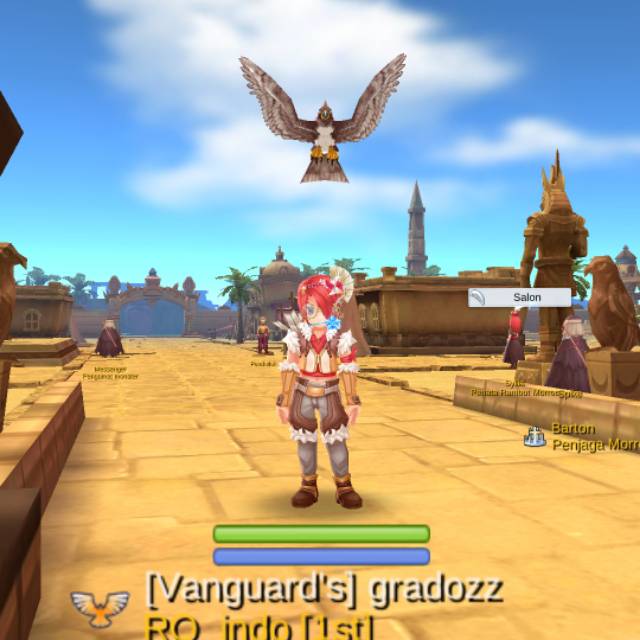 zororx45