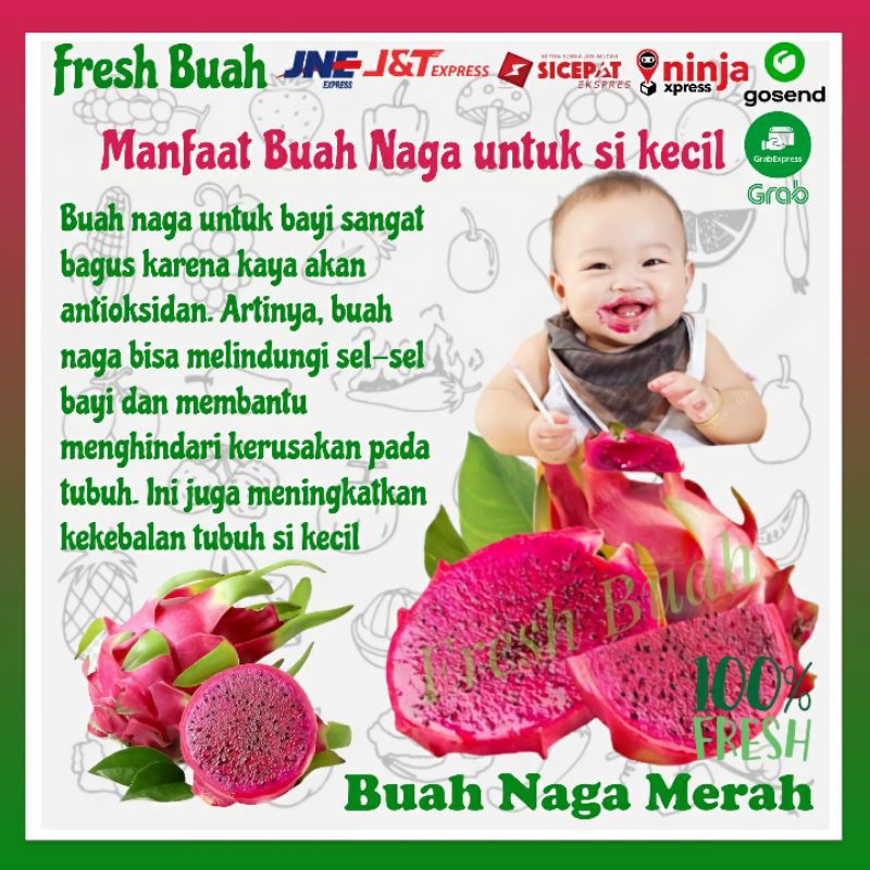 

BUAH NAGA MERAH SEGAR MURAH FRESH 1Kg BUAH NAGA MERAH FRESH BUAH NAGA BUAH SEGAR BUAH BUAHAN