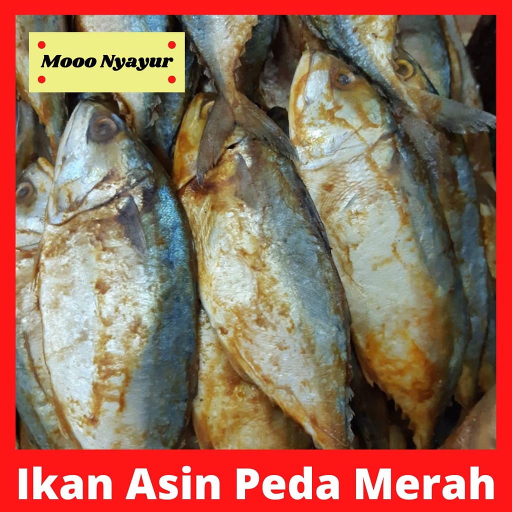 

Ikan Asin Peda Merah Per Ekor Pasar Ikan Segar Bekasi