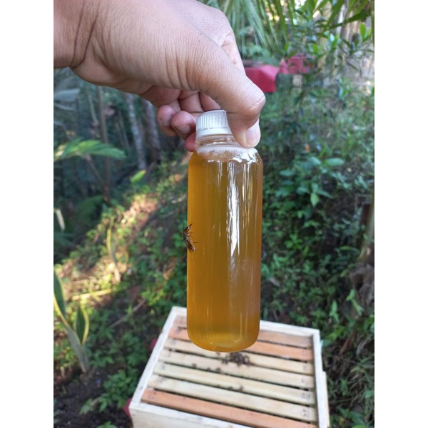 

Madu Nyawan