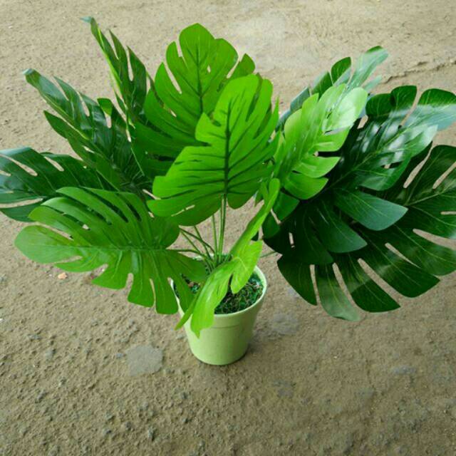 DAUN MONSTERA RAMBAT BUNGA PLASTIK ARTIFICIAL ARTIFISIAL PALSU DEKORASI HOMEDECOR SHABBY