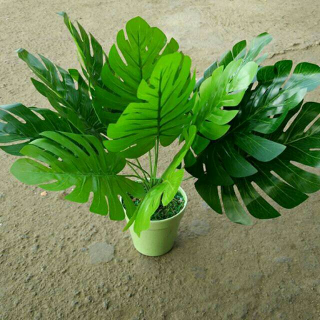 DAUN MONSTERA RAMBAT BUNGA PLASTIK ARTIFICIAL ARTIFISIAL PALSU DEKORASI HOMEDECOR SHABBY