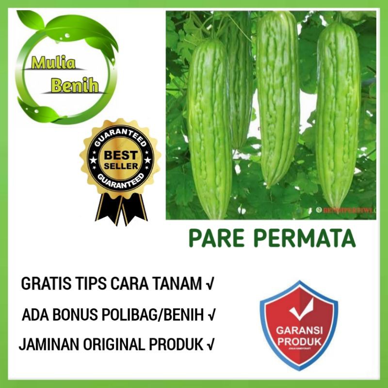 isi 4 Biji - Benih Pare Paria PERMATA F1 - Bibit Tanaman Sayur Sayuran Pare Hijau Paria Raden