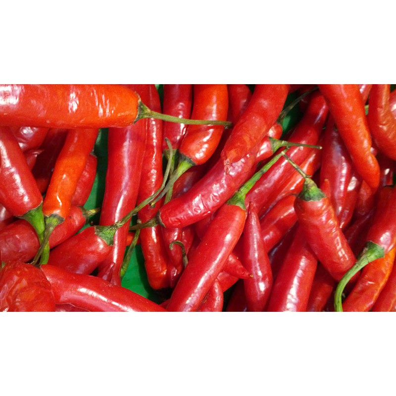 

Bandung Sayur Segar - Cabe Merah Tanjung Per 250 g