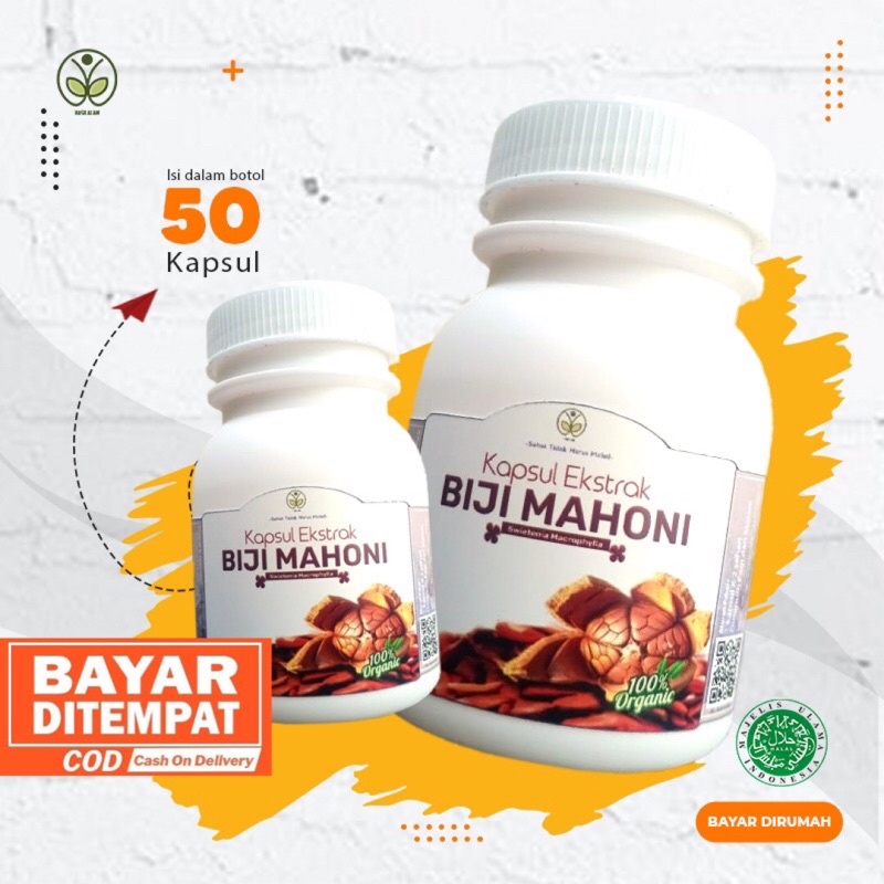 Kapsul Biji Mahoni Kering Obat Herbal Diabetes Hipertensi Kencing Manis Darah Tinggi Diabet Kolester