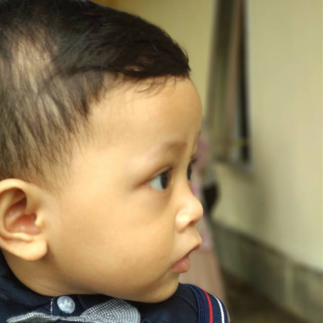 ahmadaulady77
