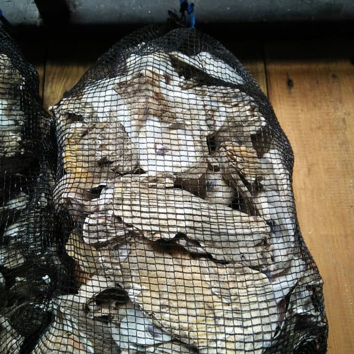 Oyster Shell Kulit Kerang Media Filter Kolam Koi 1kg