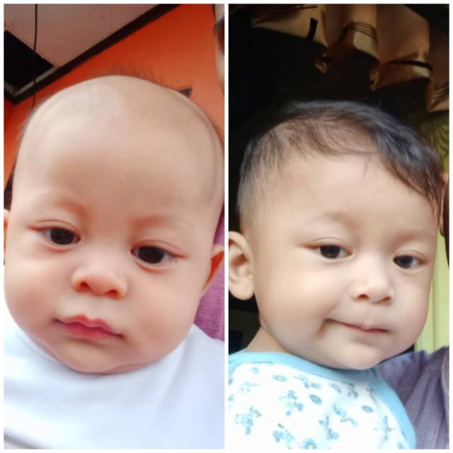 arfansyarief