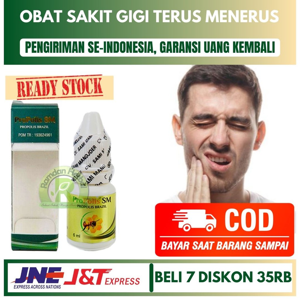 Obat Sakit Gigi Terus Menerus Sakit Gigi Menahun Infeksi Gigi Propolis SM HALAL BPOM