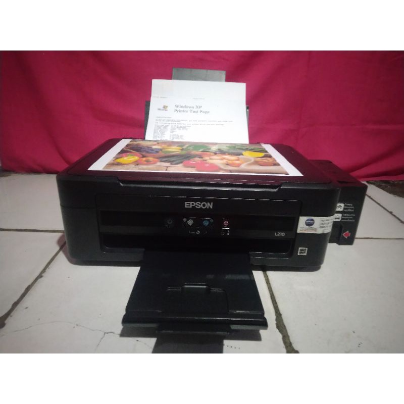 Printer Epson L210 Scan Copy,