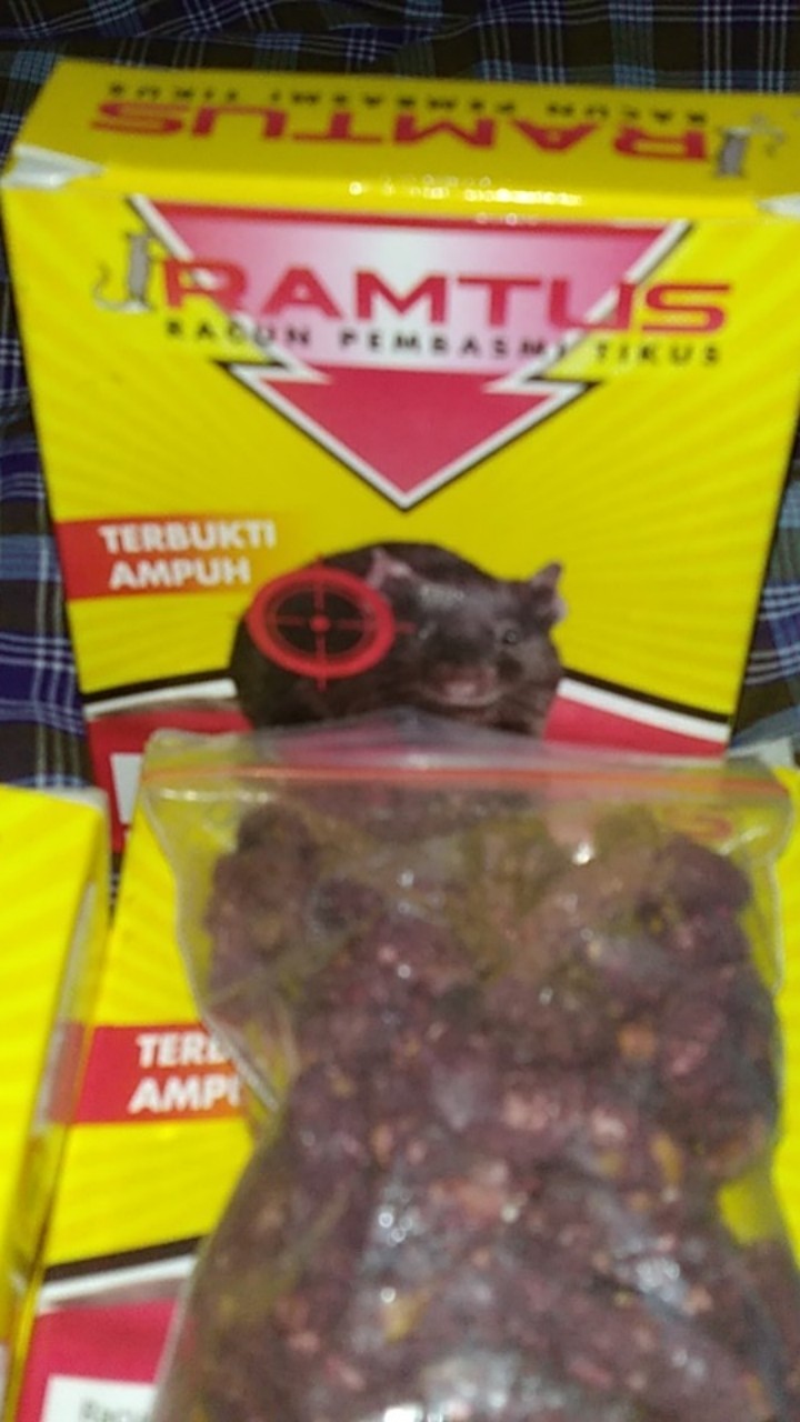 Ramtus Obat Racun Tikus Langsung Mati Kering Tidak Bau Sangat Ampuh Racun Pembasmi Tikus 6 Pack