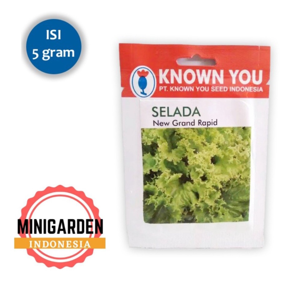 SELADA NEW GRAND RAPID 5 GRAM PACK KECIL Benih Biji Selada Hijau Keriting Known You Seed sayuran hidroponik