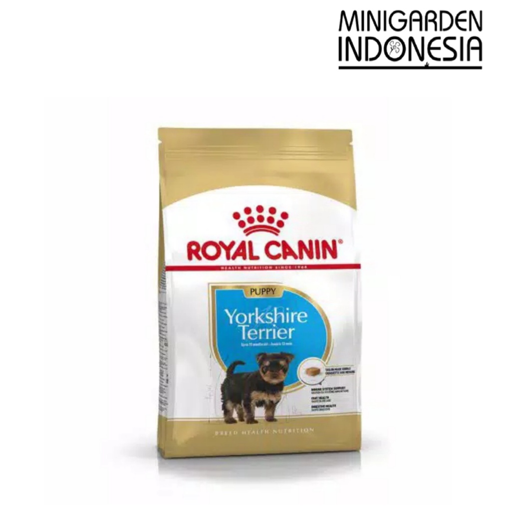 ROYAL CANIN YORKSHIRE PUPPY 1.5KG yorkshire junior dogfood dryfood makanan anjing ras 1,5 KG